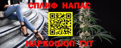 МДПВ Пенза