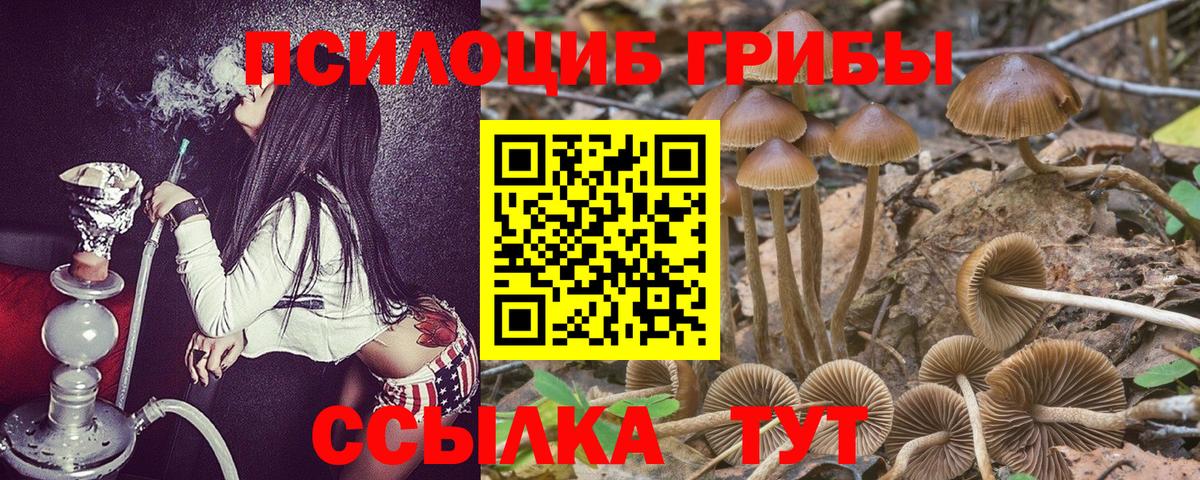 Галлюциногенные грибы GOLDEN TEACHER Пыть-Ях